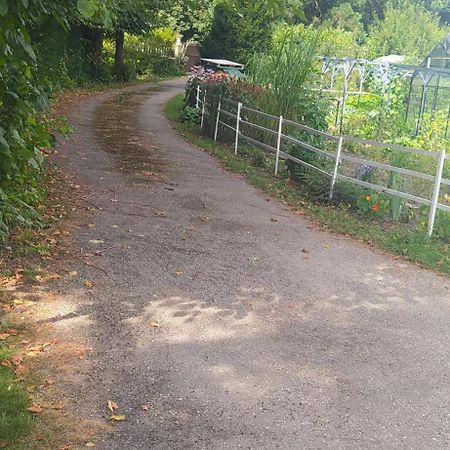 Logement Independant Attenant A Une Maison Dans Grand Jardin Retournac Εξωτερικό φωτογραφία